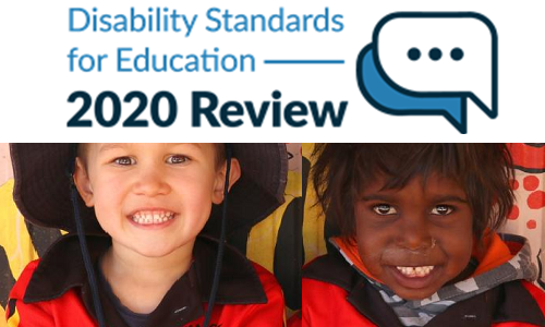 Review of the Disability Standards for Education